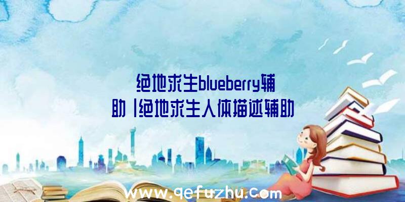 「绝地求生blueberry辅助」|绝地求生人体描述辅助